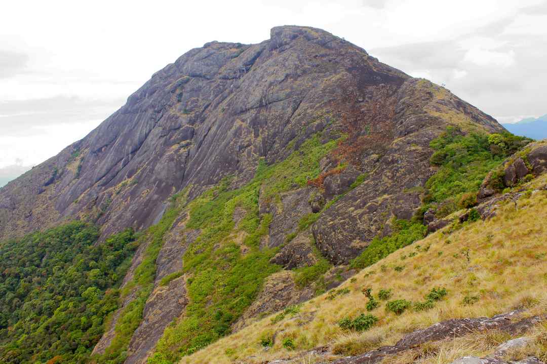 Chokramudi Trekking
